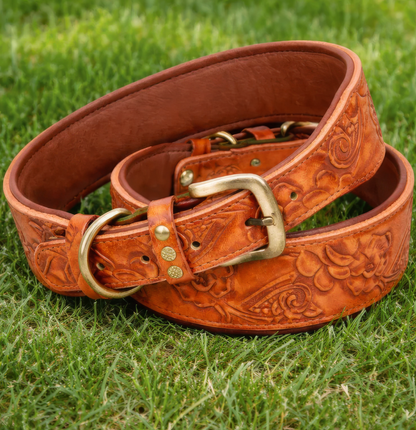 Western dog collar