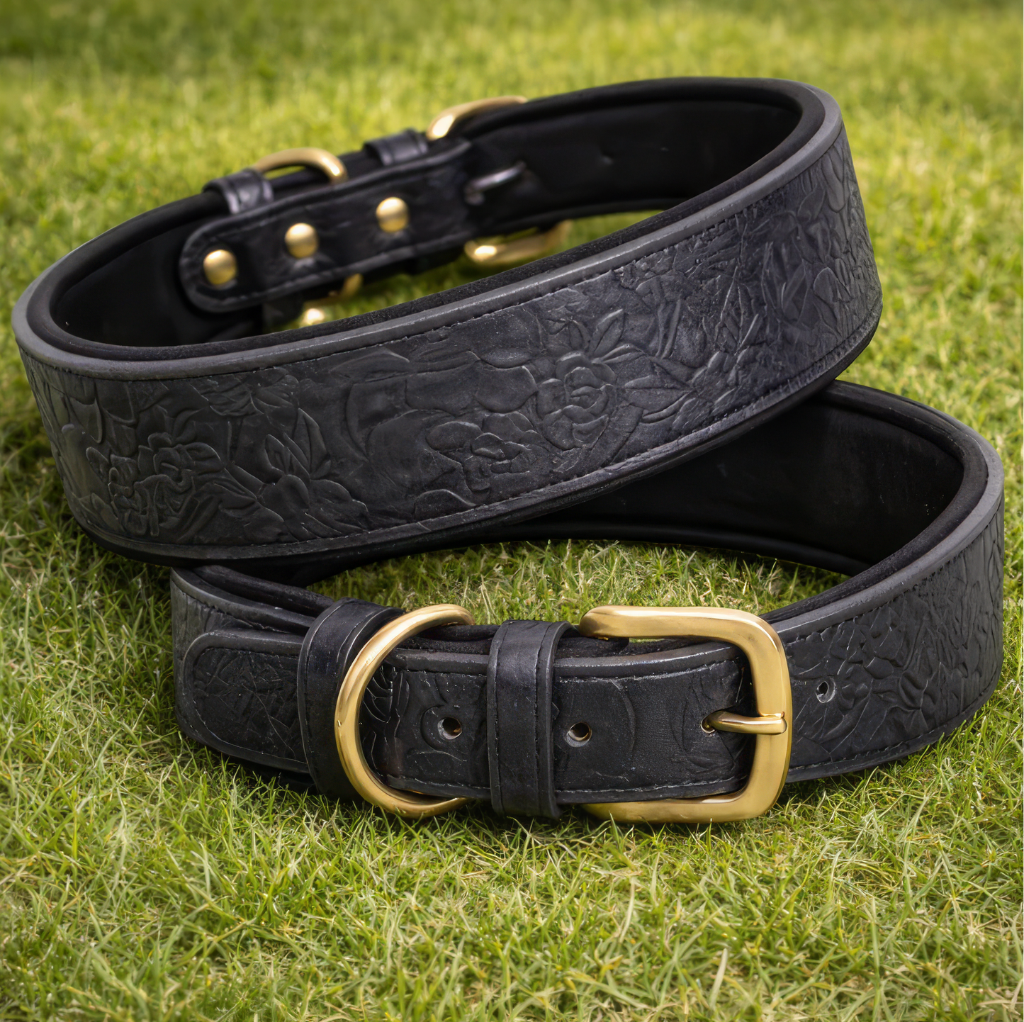 Western dog collar