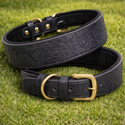 Western dog collar