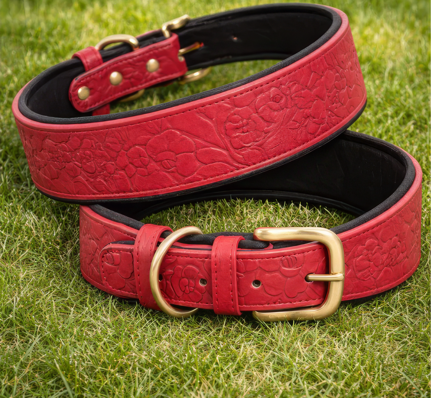 Western dog collar